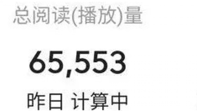 微头条月入过万的保姆级搬砖玩法，简单复制可批量化操作！（小白轻松上手）