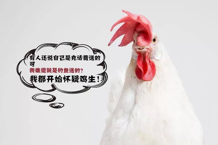 卖鸡