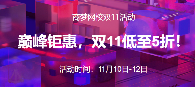 双11