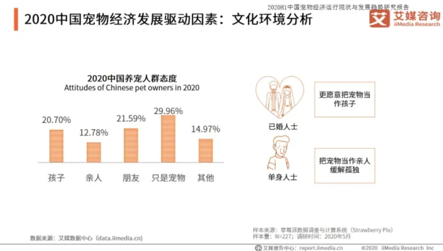网络项目
