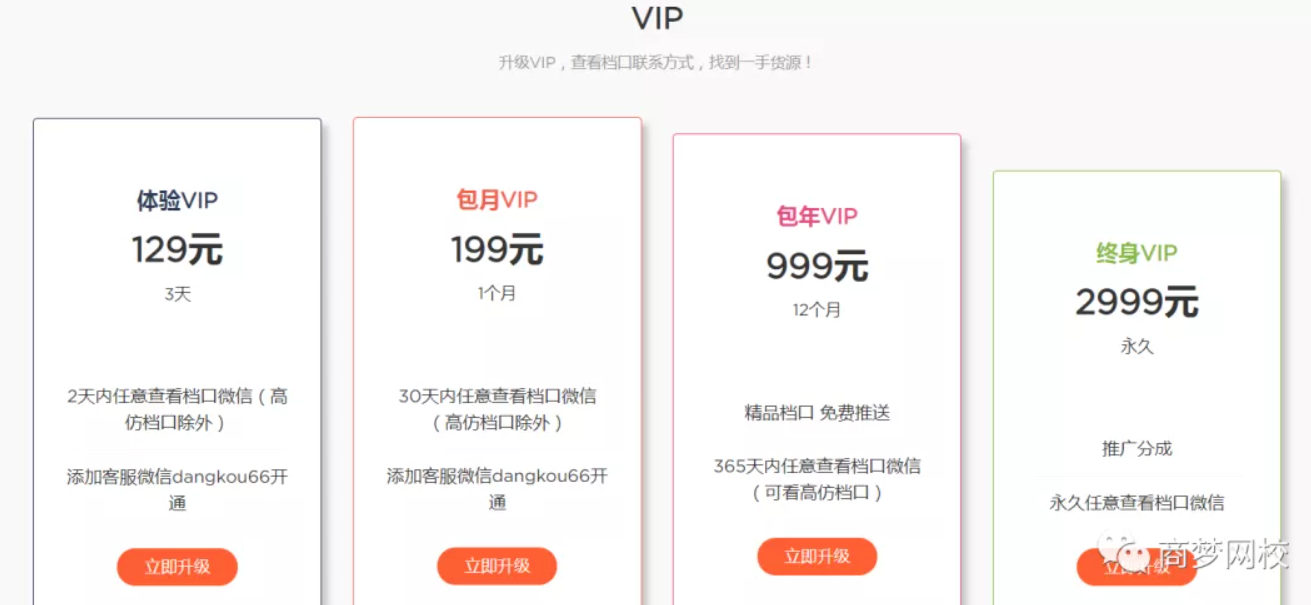 网络营销项目
