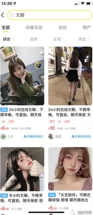 网络营销项目