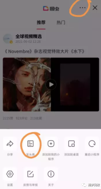 网赚项目