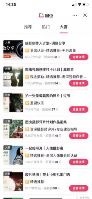 网赚项目