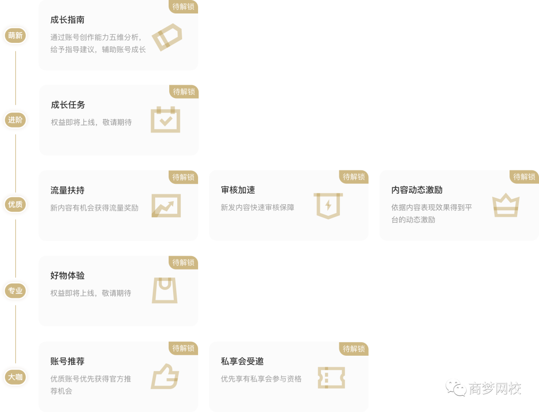 网络营销项目