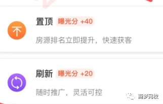 网络营销项目