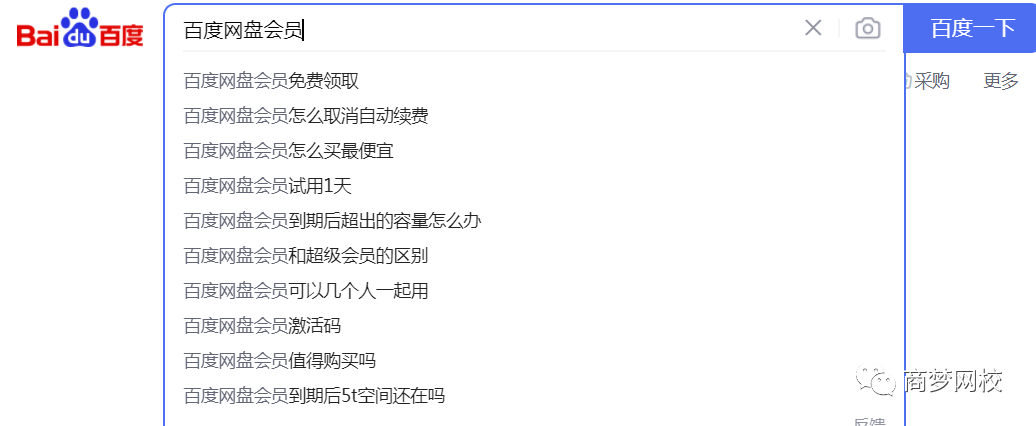网络营销项目